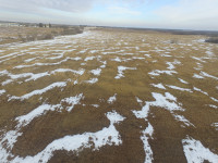 75 Acres of Farm Land, Available in a Timed Online Auction