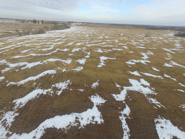 75 Acres of Farm Land, Available in a Timed Online Auction in Land for Sale in Strathcona County
