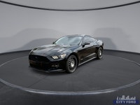 City Ford is Family Owned and Operated serving Edmonton and area for Over 37 Years - Over 300 New &... (image 3)