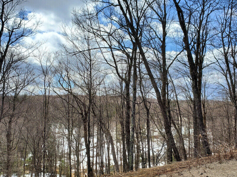 Terrain à vendre Blue Ridge Morin-Heights — photo 2