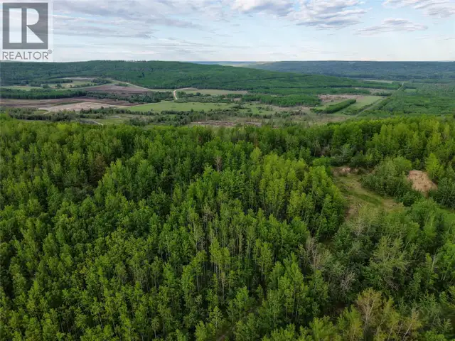 Lot 1 Kendrew Subdivision Pouce Coupe, British Columbia in Land for Sale in Dawson Creek - Image 8