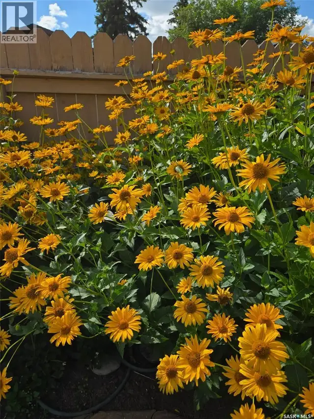 607 K AVENUE N Saskatoon, Saskatchewan in Houses for Sale in Saskatoon - Image 16