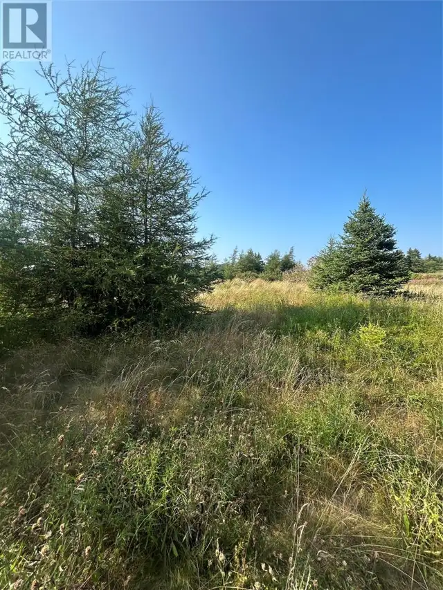 0 Beaver pond Road Road Roaches Line, Newfoundland & Labrador in Land for Sale in St. John's - Image 8