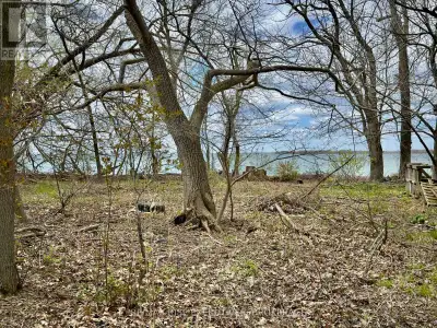 Discover a beautiful waterfront building lot on the desirable west end of Wolfe Island, perfectly si...
