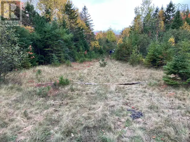 Pinevale Road Dunmore, Nova Scotia in Land for Sale in New Glasgow - Image 11