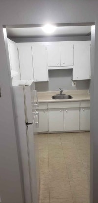 1 Bedroom on ground floor (stairs free) with balcony is available immediately in Kitchener near down... (image 6)