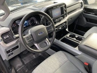 No Accidents - Rock Deflector - Backup Camera - Navigation Map - Lane Detection The 2023 Ford F-150... (image 3)