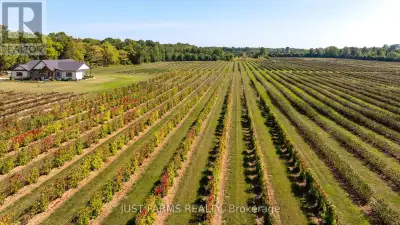 Set on 113 acres of prestine farmland just south of Rodney in West Elgin, this property offers both...