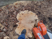 TREE STUMP & ROOTS GRINDER