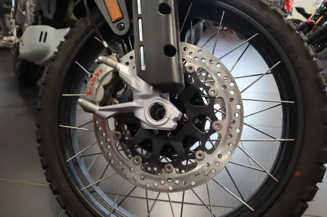 2025 Ducati DesertX White in Sport Touring in Edmonton - Image 6