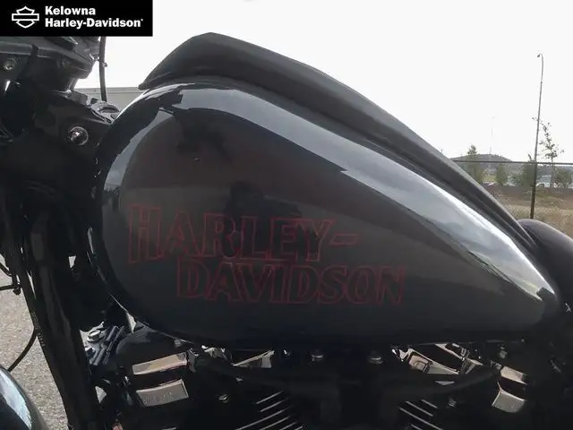 2025 Harley-Davidson FXLRS - Low Rider S in Street, Cruisers & Choppers in Kelowna - Image 24