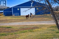 STURGEON VALLEY RANCH Shellbrook Rm No. 493, Saskatchewan Prince Albert Saskatchewan Preview