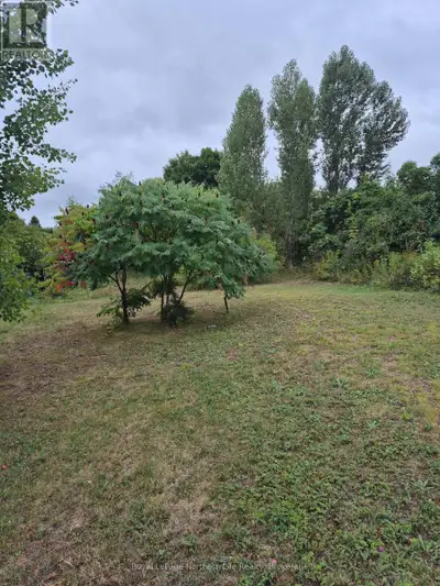 BUILD YOUR DREAM HOME ON THIS LEVEL LOT. WELL LANDSCAPED. CLOSE TO SCHOOL & CHURCH. WALKING DISTANCE...