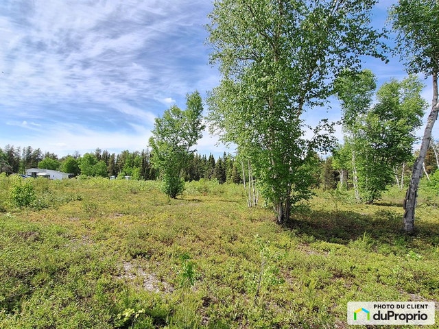 $100,000 - Residential Lot for sale in Dolbeau-Mistassini — photo 3