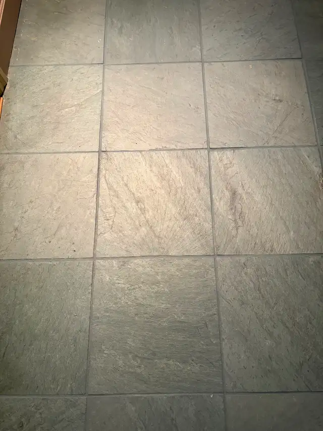 Shower cleaning, silicone replacement589175819831224322