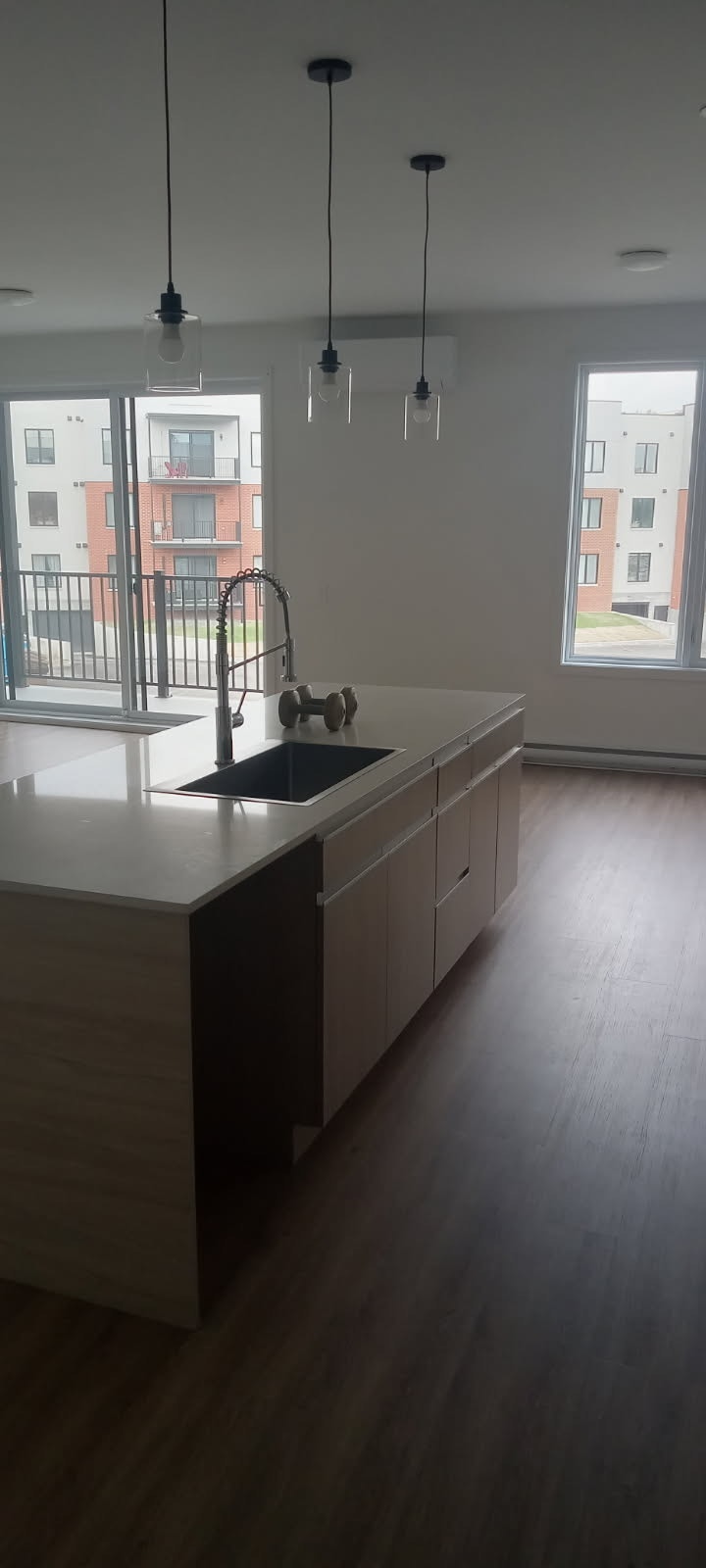 1955 Rue du Chanoine Chamberland — photo 2