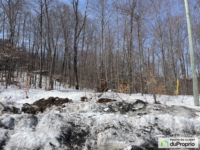 $235,000 - Residential Lot for sale in Ste-Agathe-Des-Monts — photo 2