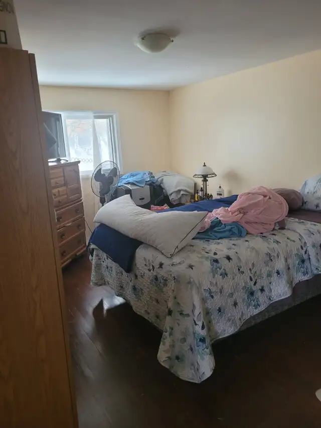 !!!!!   VERY BIG ROOM FOR RENT WOODROFFE & CARLING   !!!