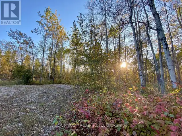 6524 HIGHWAY 11 HIGHWAY N Iroquois Falls, Ontario in Land for Sale in Timmins - Image 19
