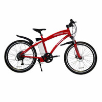 Daymak Vermont 48V Long travel Ebike , electric , Sale $2995 !!!