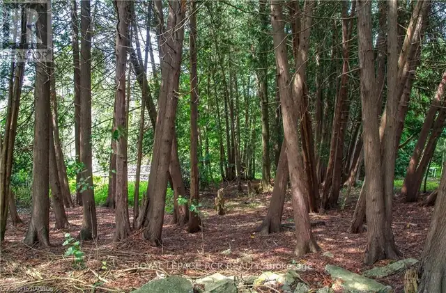 862 24TH AVENUE Hanover, Ontario in Houses for Sale in Owen Sound - Image 11