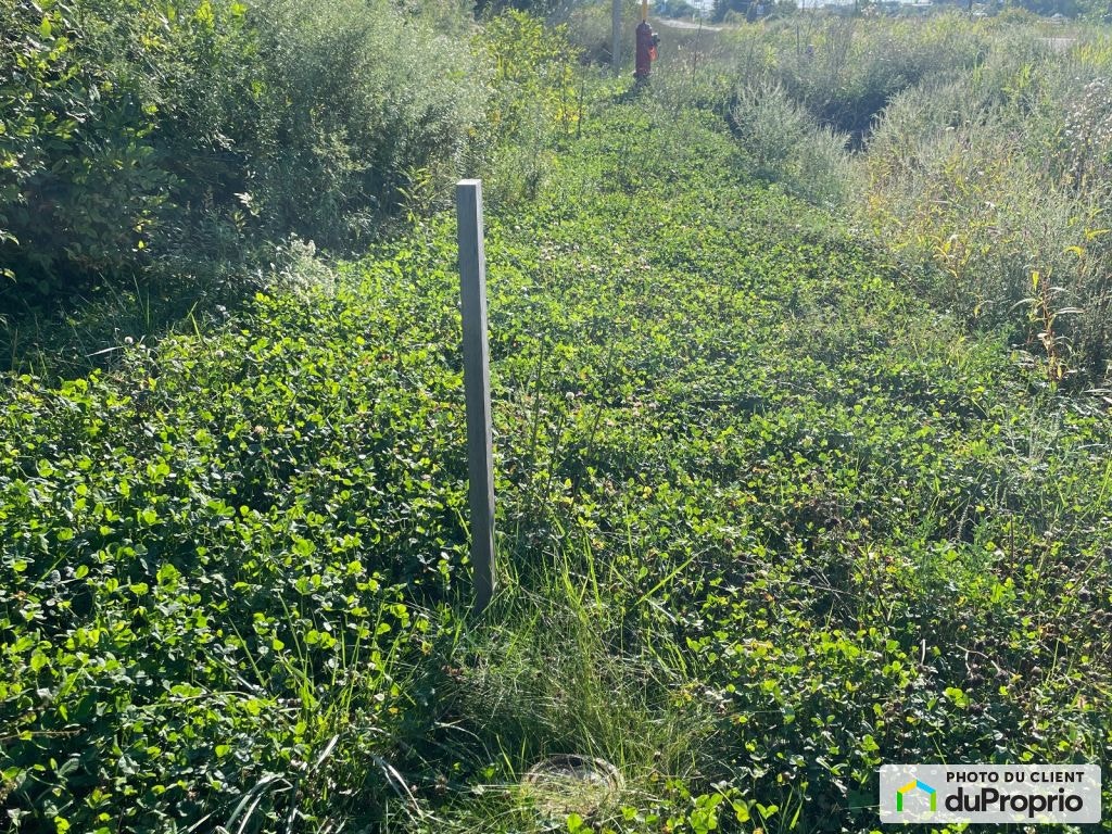 $905,000 - Price taxes not included - Industrial lot for sale — photo 2