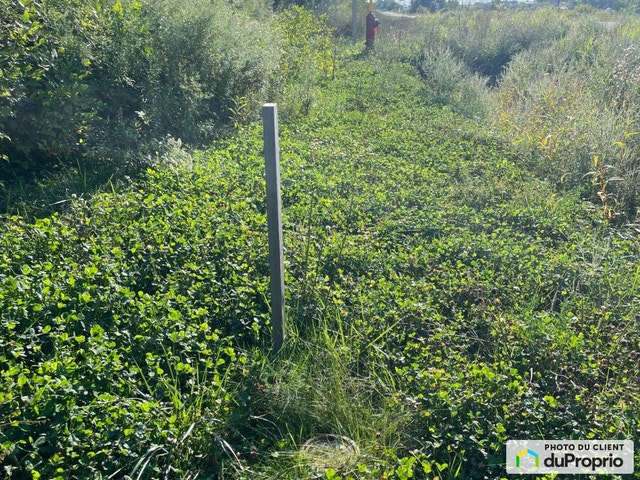 $905,000 - Price taxes not included - Industrial lot for sale — photo 2