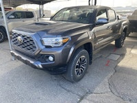 *Vehicle history form conveniently located in vehicle photos. AMVIC LICENSED DEALER ... Engine: Regu... (image 1)
