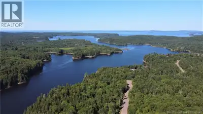 Located near St. George is this 2.79 acre heavily wooded waterfront lot waiting for your new home or...