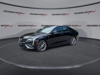// ACCIDENT FREE!! // // SINGLE OWNER! // This 2021 Cadillac CT4 Sport is a sharp luxury sedan that... (image 3)