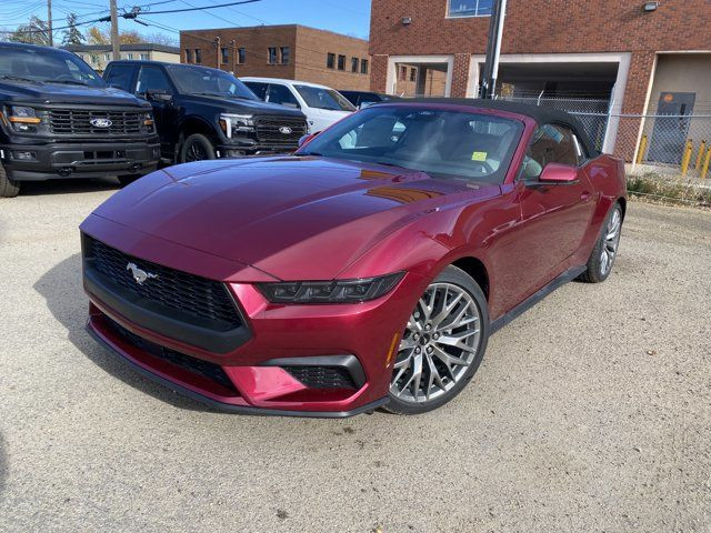 2025 Ford Mustang EcoBoost Premium Convertible in Cars & Trucks in Edmonton - Image 2