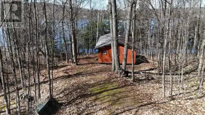 Starter cottage opportunity on a beautifully treed lot with 157 feet of frontage on scenic Commanda...
