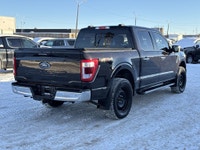 AMVIC Licensed Dealer AMVIC Licensed Dealer Stock # T4324193A Kick off your next adventure in the ru... (image 8)