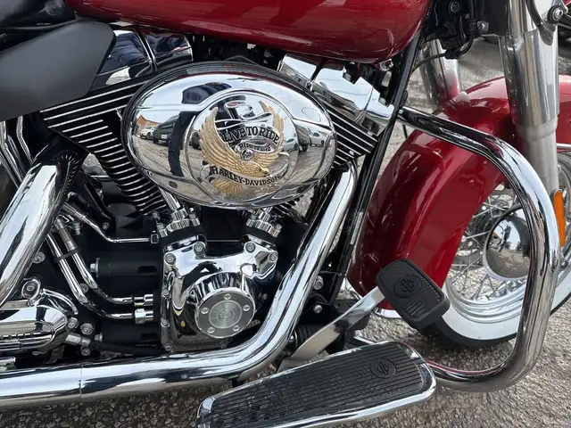 2008 Harley-Davidson Softail Deluxe ~ SOFTAIL DELUXE ~ LOW MILES in Street, Cruisers & Choppers in City of Toronto - Image 27