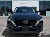 Tires - Front Performance,Temporary Spare Tire,ABS,All Wheel Drive,Tires - Rear Performance,Brake As... (image 8)