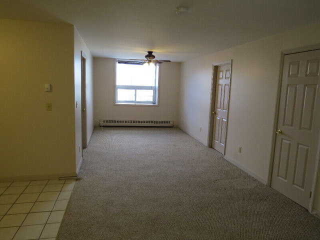 2 bedroom core downtown in Long Term Rentals in Kingston - Image 3