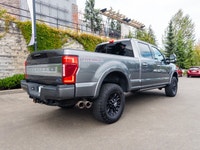 Command any job site or adventure with this robust 2022 Ford Super Duty F-350 SRW, a true powerhouse... (image 4)