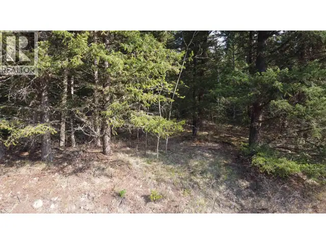 LOT B BRYCE ROAD Forest Grove, British Columbia in Land for Sale in 100 Mile House - Image 26