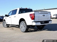 BlueCruise, Sunroof, Power Running Boards, HUD, B&O Audio, Cooled Seats, Remote Start, Adaptive Crui... (image 3)