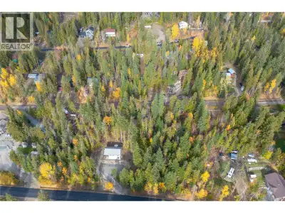 Build your dream getaway on this 0.28-acre lot in Anglemont Estates. Once cleared, the property offe...
