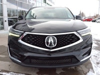 Heated Front and Rear Seats | Cooling Seats | Heated Steering Wheel | Wireless Phone Connectivity |... (image 5)