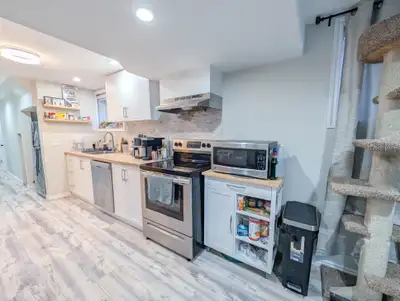 This bright and inviting lower bachelor apartment offers an ideal blend of comfort and convenience....