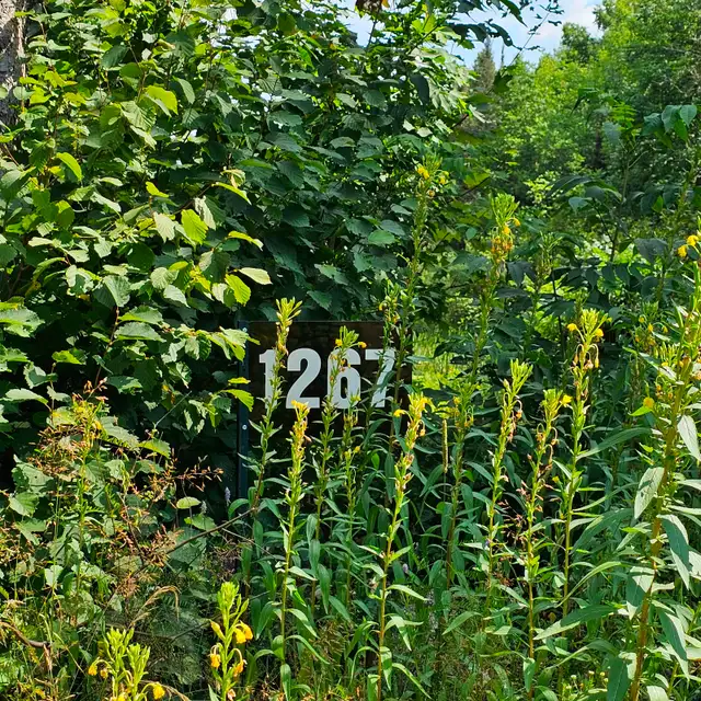 Waterfront vacant land - 1267 Snake Creek Rd, Mattawan, On