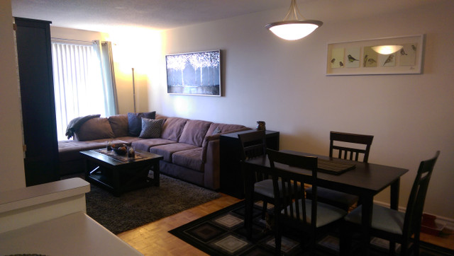 Great 2 Bedroom Apartment for Rent Minutes to Downtown Cambridge in Long Term Rentals in Cambridge - Image 4