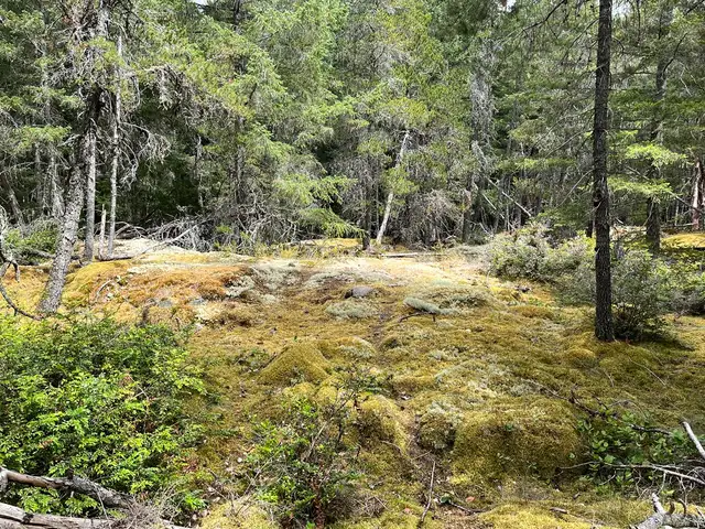 GULF ISLAND BC– OFF-GRID LAND STEWARDSHIP & LIVING OPPORTUNITY in Storage & Parking for Rent in Nanaimo - Image 8
