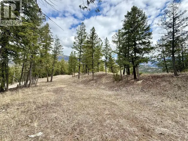 2400 KOOTENAY RD NO 3 Road Lot# 2 Windermere, British Columbia in Land for Sale in Cranbrook - Image 7