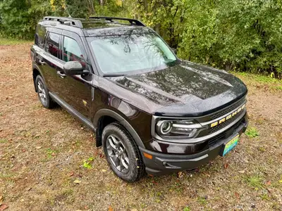 "Kodiak Brown" looks purple in some light and black in others, don't see that colour often. 400A Equ...