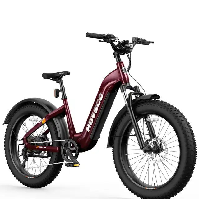 Ebikes Seller in Caronport! Hovsco Alpha 26" Fat Tire Ebike62863735366913121
