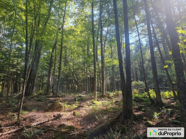 $1,650,000 - Land to be developed for sale in Austin — photo 1