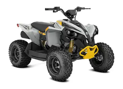 Bienvenue chez Adrenaline Sports St-Georges ! 2026 CAN-AM Renegade 70 EFI CAN-AM Renegade 70 EFI 202...